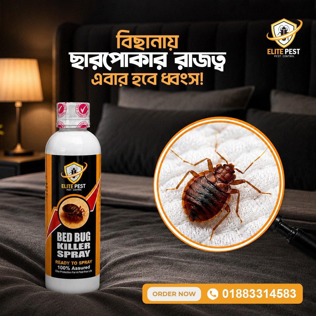 LITE PEST Bed Bug Killer